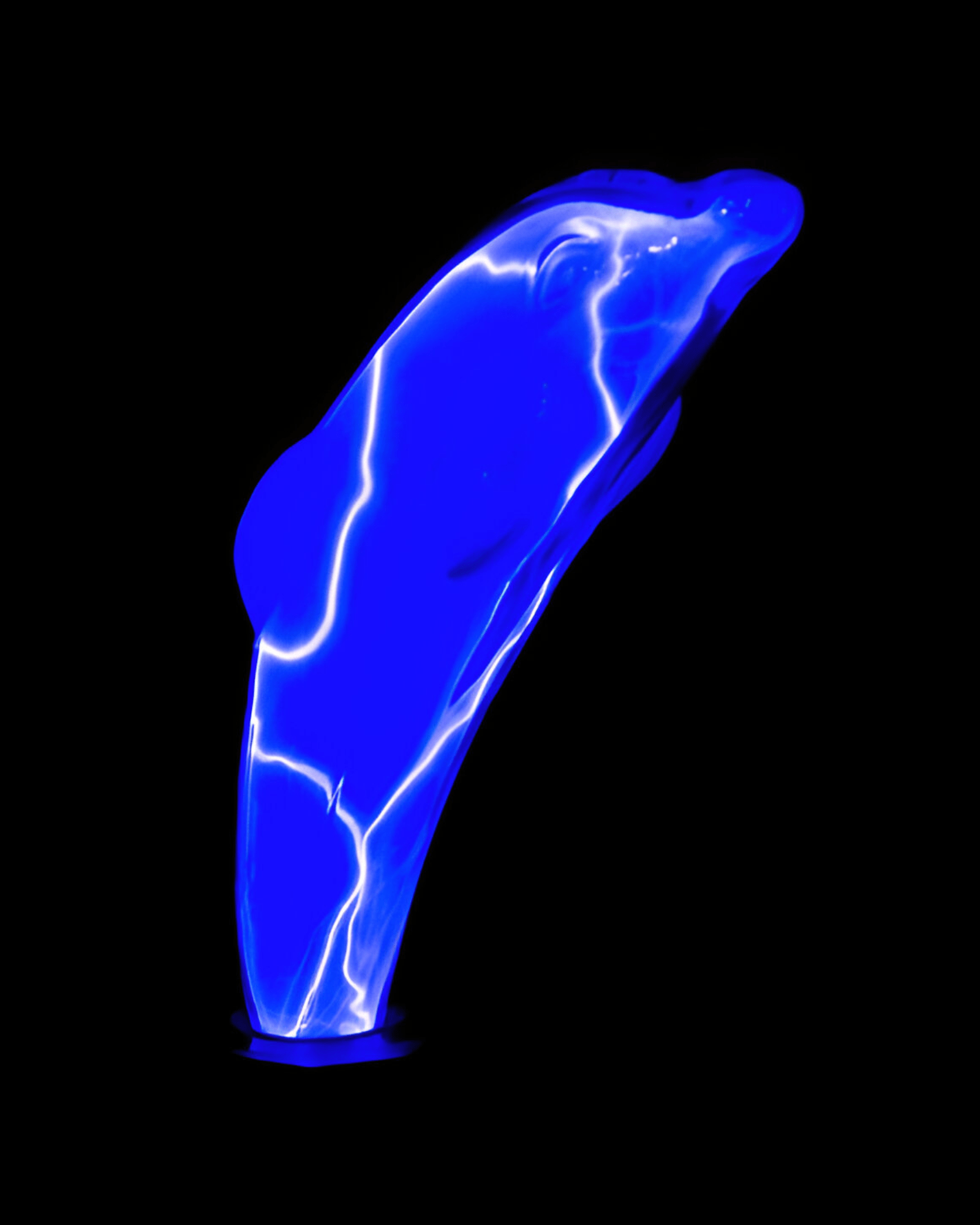 Mijn winkel Dolphin Plasma Lamp