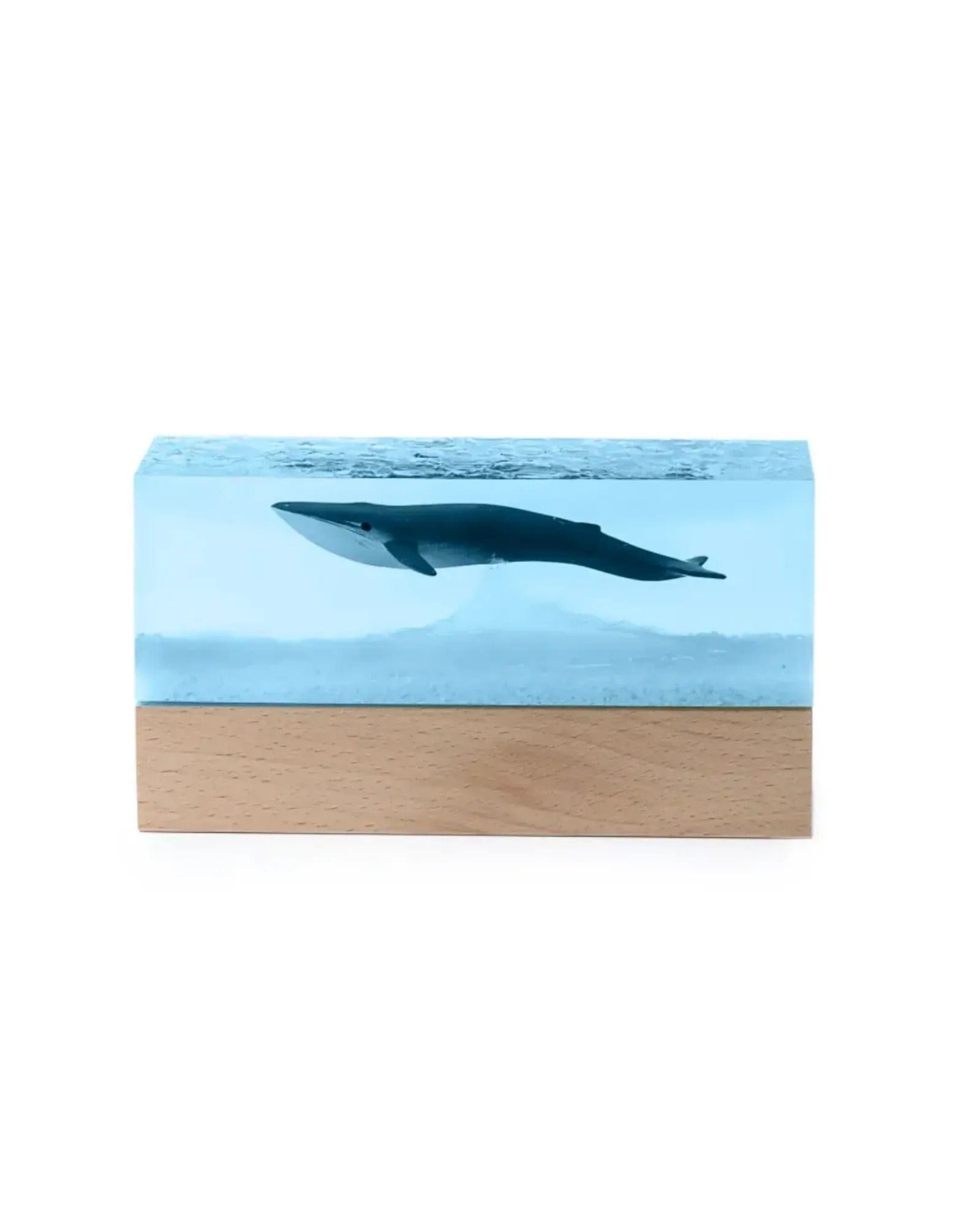 Mijn winkel Epoxy Whale Nightlight