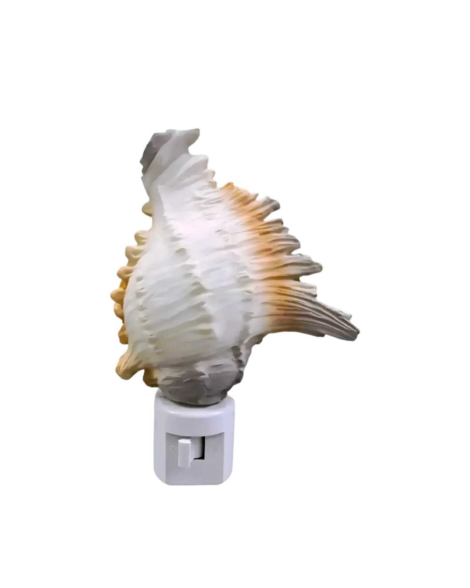 Mijn winkel Murex Shell Shell Night Light