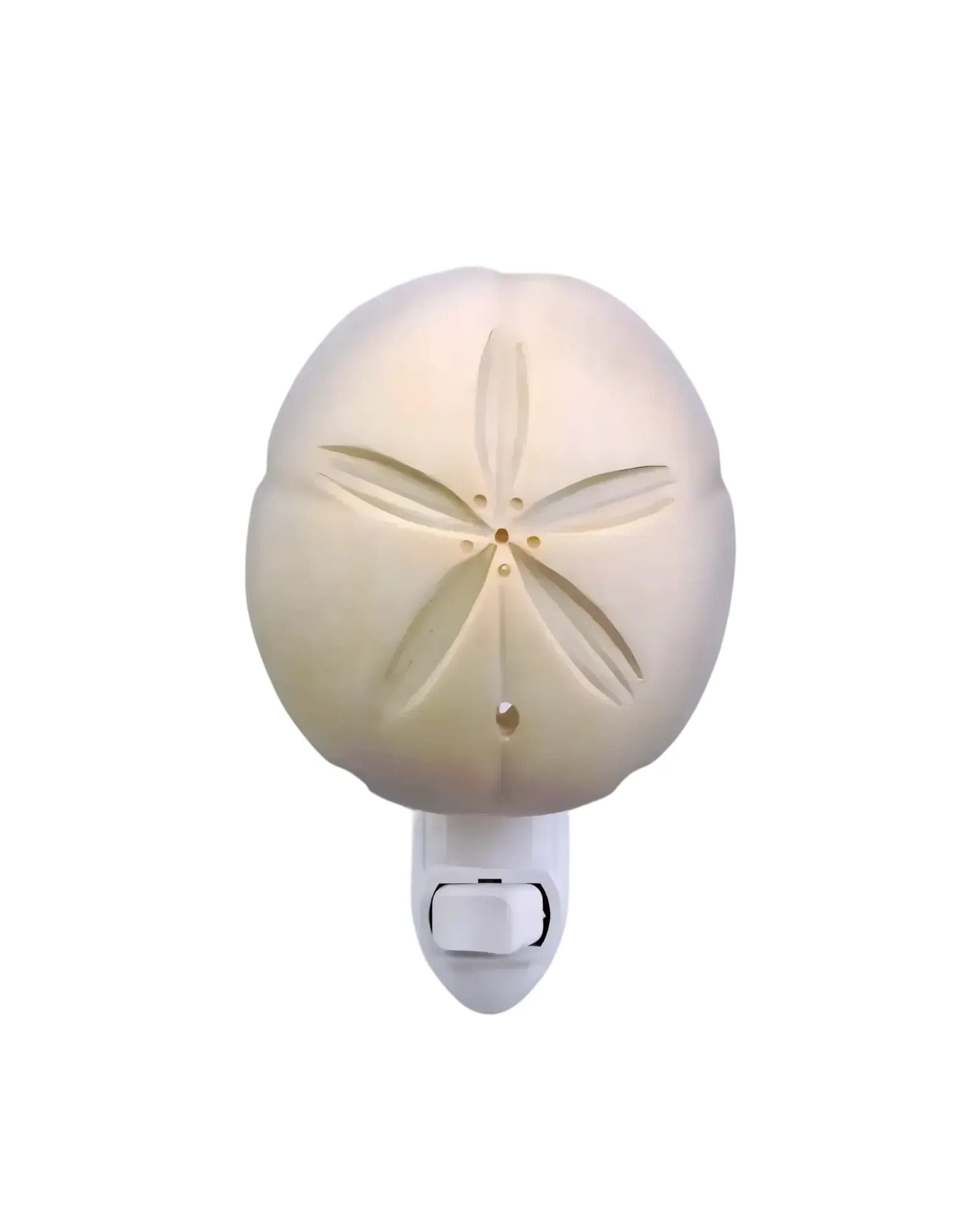 Mijn winkel Sand Dollar Shell Shell Night Light