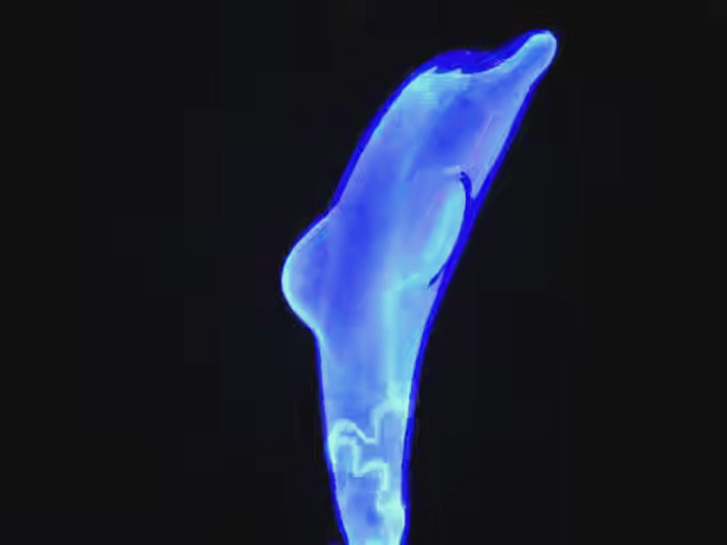 Dolphin Plasma Lamp