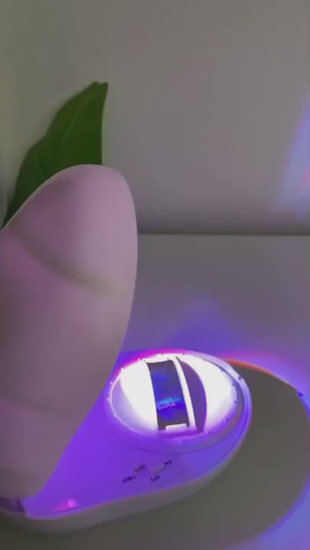 Shell Rainbow Projector Lamp